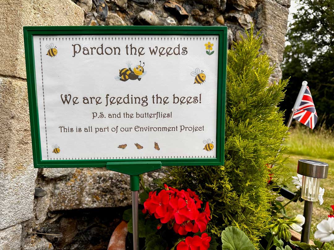 Pardon the weeds