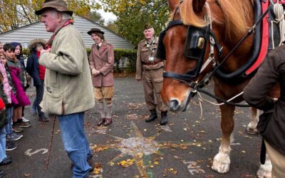 Suffolk Punch horse visited Barrow primary school for Remembrance Day with Women’s Land Army Memorial Trust