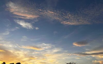 Message from Rev’d Lynda – March 2024